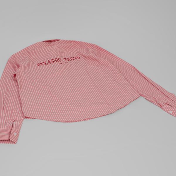 Pink pinstripe button up shirt