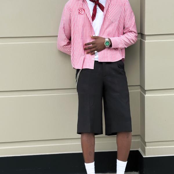 Pink pinstripes long sleeve button up shirt