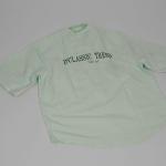 Light mint green Pinstripes button up shirt